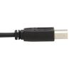 Tripp Lite P784-010-DV KVM cable Black 120.1" (3.05 m)5