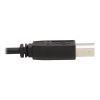 Tripp Lite P784-006-U KVM cable Black 72" (1.83 m)5