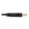 Tripp Lite P784-006-U KVM cable Black 72" (1.83 m)8