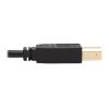 Tripp Lite P784-006-U KVM cable Black 72" (1.83 m)9