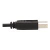 Tripp Lite P784-010 KVM cable Black 120.1" (3.05 m)5