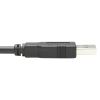 Tripp Lite U009-010-RJ45-X networking cable Black 120.1" (3.05 m)5
