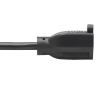 Tripp Lite P024-001-13A15D power cable Black 11.8" (0.3 m) NEMA 5-15P NEMA 5-15R3