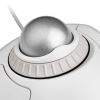 Kensington Orbit® Trackball with Scroll Ring — White6