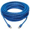 Tripp Lite N261P-050-BL networking cable Blue 600" (15.2 m) Cat6a F/UTP (FTP)2