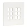 Tripp Lite N080-212 wall plate/switch cover White1