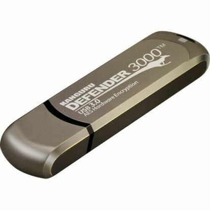 Kanguru Defender 3000 USB flash drive 256 GB USB Type-C 3.2 Gen 1 (3.1 Gen 1) Gray1