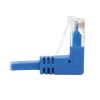 Tripp Lite N204-S01-BL-DN networking cable Blue 12.2" (0.31 m) Cat6 U/UTP (UTP)5