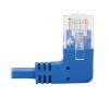 Tripp Lite N204-S01-BL-RA networking cable Blue 12.2" (0.31 m) Cat6 U/UTP (UTP)4