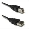 Weltron 10FT USB-A MALE TO USB-B MALE USB cable 122" (3.1 m) USB 2.0 USB A USB B Black3