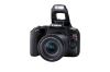 Canon EOS Rebel SL3 + EF-S 18-55mm IS STM SLR Camera Kit 24.1 MP CMOS 6000 x 4000 pixels Black5
