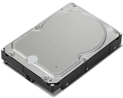 Lenovo 4XB0X87803 internal hard drive 3.5" 10000 GB Serial ATA III1
