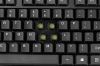 Adesso WKB-1320CB keyboard Mouse included RF Wireless QWERTY Black5