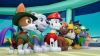 Microsoft Paw Patrol: On a Roll Standard English, Spanish Xbox One4