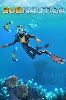 Microsoft Subnautica Standard Xbox One1