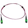 Tripp Lite N846D-01M-16AMG fiber optic cable 39.4" (1 m) MTP OFNP OM4 Magenta2