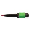 Tripp Lite N846D-01M-16BMG fiber optic cable 39.4" (1 m) MTP OFNP OM4 Magenta4