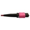 Tripp Lite N846D-01M-16BMG fiber optic cable 39.4" (1 m) MTP OFNP OM4 Magenta5