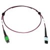 Tripp Lite N846D-01M-16CMG fiber optic cable 39.4" (1 m) MTP OFNP OM4 Magenta2