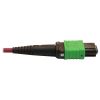 Tripp Lite N846D-01M-16CMG fiber optic cable 39.4" (1 m) MTP OFNP OM4 Magenta4