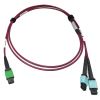 Tripp Lite N846D-01M-16DMG fiber optic cable 39.4" (1 m) MTP OFNP OM4 Magenta2