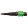 Tripp Lite N846D-01M-16DMG fiber optic cable 39.4" (1 m) MTP OFNP OM4 Magenta4