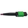 Tripp Lite N846D-01M-16EMG fiber optic cable 39.4" (1 m) MTP 8x LC OFNP OM4 Magenta3