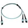 Tripp Lite N846D-01M-24BAQ fiber optic cable 39.4" (1 m) MTP OFNP OM4 Aqua color2