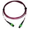 Tripp Lite N846D-03M-16AMG fiber optic cable 118.1" (3 m) MTP OFNP OM4 Magenta2