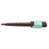 Tripp Lite N846D-03M-16CMG fiber optic cable 118.1" (3 m) MTP OFNP OM4 Magenta5