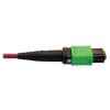 Tripp Lite N846D-05M-16AMG fiber optic cable 196.9" (5 m) MTP OFNP OM4 Magenta3