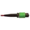 Tripp Lite N846D-05M-16BMG fiber optic cable 196.9" (5 m) MTP OFNP OM4 Magenta4