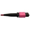 Tripp Lite N846D-05M-16BMG fiber optic cable 196.9" (5 m) MTP OFNP OM4 Magenta5