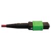 Tripp Lite N846D-05M-16CMG fiber optic cable 196.9" (5 m) MTP OFNP OM4 Magenta4