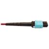 Tripp Lite N846D-05M-16CMG fiber optic cable 196.9" (5 m) MTP OFNP OM4 Magenta5