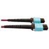 Tripp Lite N846D-05M-16DMG fiber optic cable 196.9" (5 m) MTP OFNP OM4 Magenta5