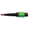 Tripp Lite N846D-05M-16EMG fiber optic cable 196.9" (5 m) MTP 8x LC OFNP OM4 Magenta3