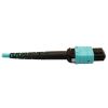 Tripp Lite N846D-05M-24BAQ fiber optic cable 196.9" (5 m) MTP OFNP OM4 Aqua color4