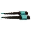 Tripp Lite N846D-05M-24BAQ fiber optic cable 196.9" (5 m) MTP OFNP OM4 Aqua color5