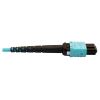 Tripp Lite N846D-10M-24AAQ fiber optic cable 393.7" (10 m) MTP OFNP OM4 Aqua color2