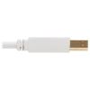 Tripp Lite U022AB-006-WH USB cable 72" (1.83 m) USB 2.0 USB A USB B White6