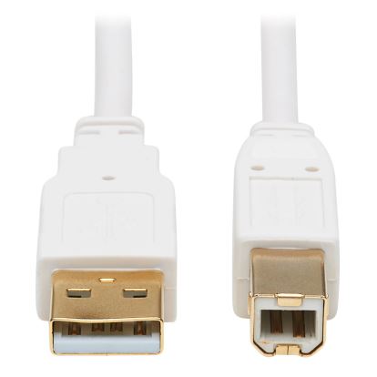 Tripp Lite U022AB-010-WH USB cable 120.1" (3.05 m) USB 2.0 USB A USB B White1