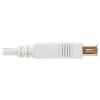 Tripp Lite U024AB-006-WH USB cable 72" (1.83 m) USB 2.0 USB A White2