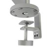 Chief DMA1S monitor mount / stand 32" Clamp Silver7