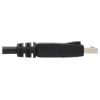 Tripp Lite P580AB-006 DisplayPort cable 72" (1.83 m) Black5