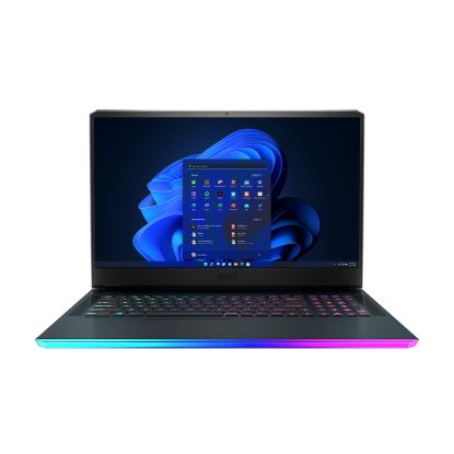 MSI GE GE76 Raider Notebook 17.3" Full HD Intel® Core™ i7 32 GB DDR4-SDRAM 1000 GB SSD NVIDIA GeForce RTX 3080 Wi-Fi 6E (802.11ax) Windows 10 Home Blue1