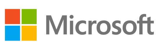 Microsoft Windows Remote Desktop Services Client Access License (CAL) 1 license(s) License1