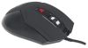 Manhattan 176071 mouse Ambidextrous USB Type-A Optical 2400 DPI3