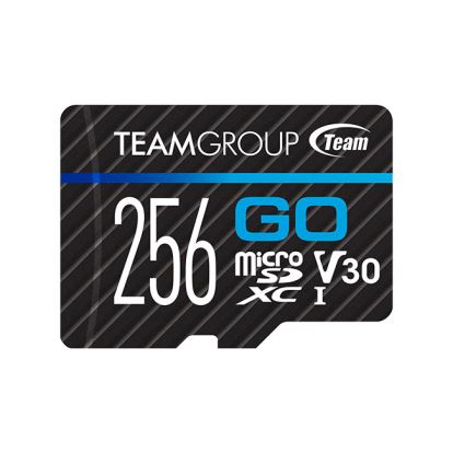 Team Group GO 256 GB MicroSDXC Class 31