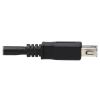 Tripp Lite U330-10M-1 USB cable 393.7" (10 m) USB 3.2 Gen 1 (3.1 Gen 1) USB A 2 x USB A Black5